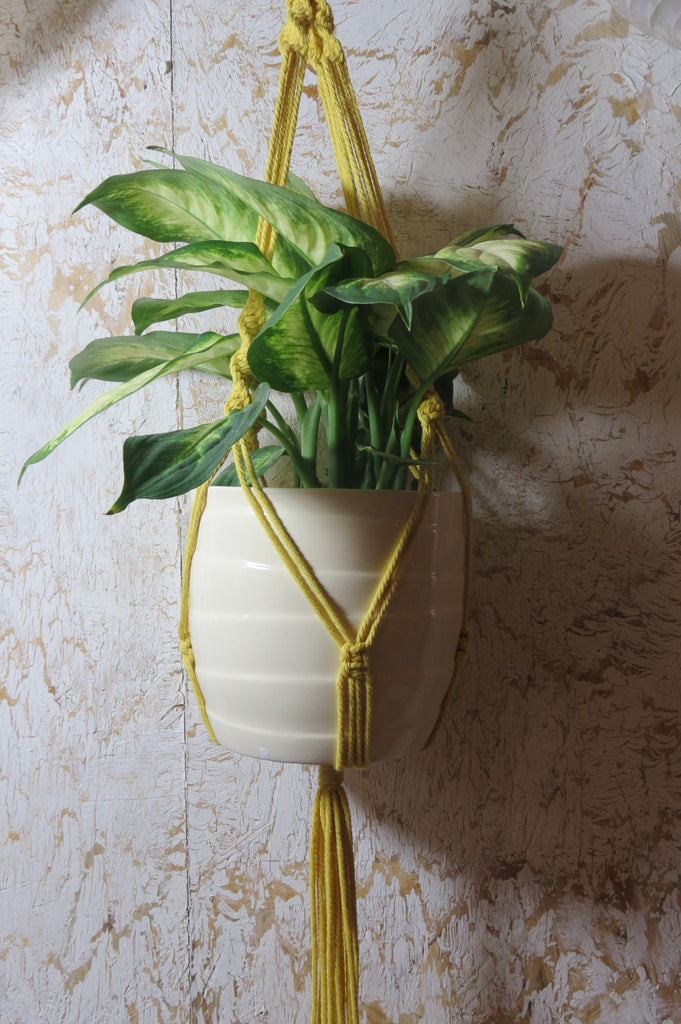 Beautiful and unique macrame plant hanger made with soft, durable 100% cotton, eco-friendly macrame cord. Available in 3 sizes and a wide variety of colours to accommodate your choice of pots as well as hanging ideas for your home decor.