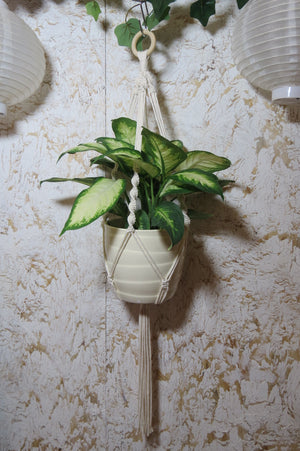 Beautiful and unique macrame plant hanger made with soft, durable 100% cotton, eco-friendly macrame cord. Available in 3 sizes and a wide variety of colours to accommodate your choice of pots as well as hanging ideas for your home decor.